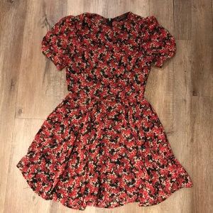 Zara floral skater dress S/ XS/0-2